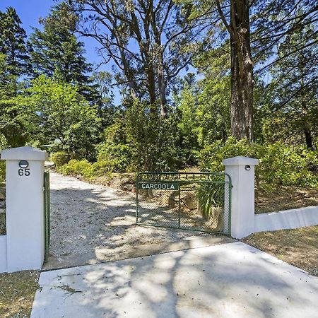 Carcoola Vila Blackheath Exterior foto